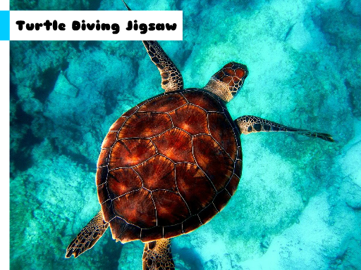 Turtle Diving Jigsaw