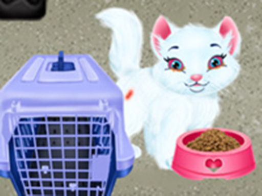 Baby Taylor Pet Care - Save Cute Animals