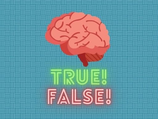 True Or False Quiz