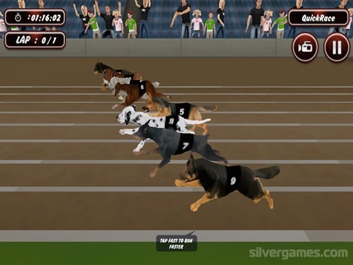 Crazy Dog Racing Simulator Games 3d